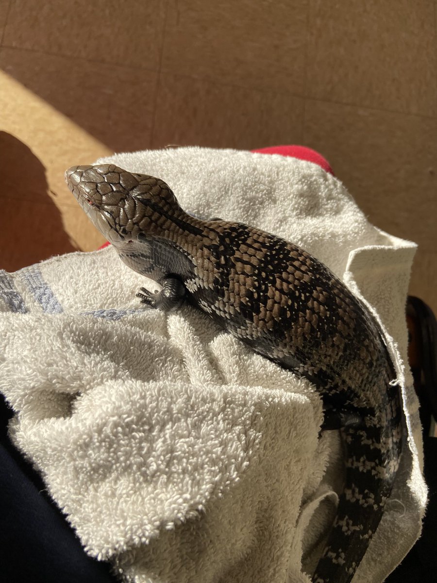 ☀️CRYPT🌙 tweet media