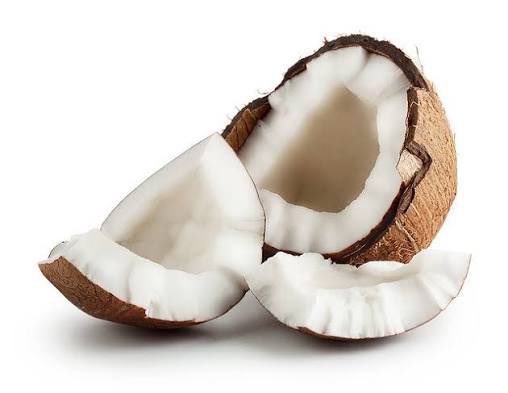 diegoalejocm's tweet photo. El examen está fácil. 

El examen: 

¿Cuál de los 3 es Coco? https://t.co/EcsmwJaTQI
