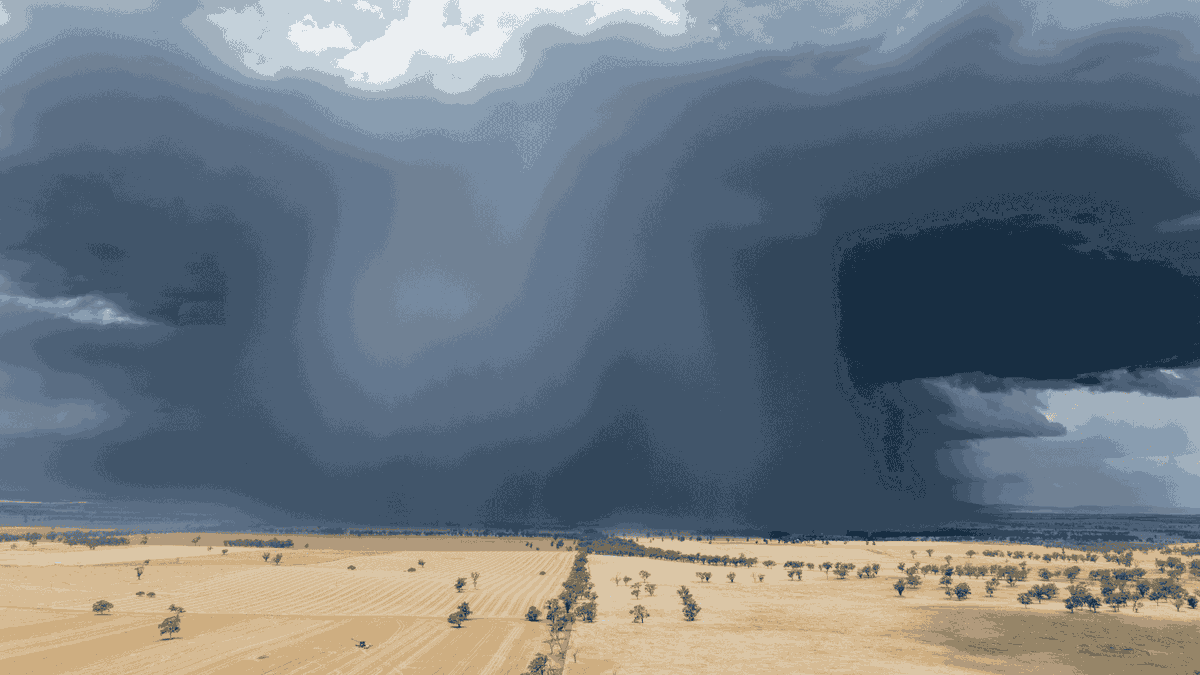 AuctionsPlus tweet media