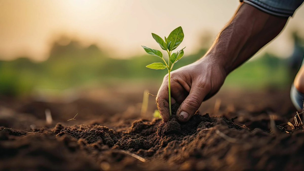 TravelDailyHQ's tweet image. The ongoing shift from #sustainabletourism to #regenerativetourism-driven operational models offers travellers a more interactive way to safeguard the environment and local communities. #TDMExclusives
traveldailymedia.com/travelers-embr…