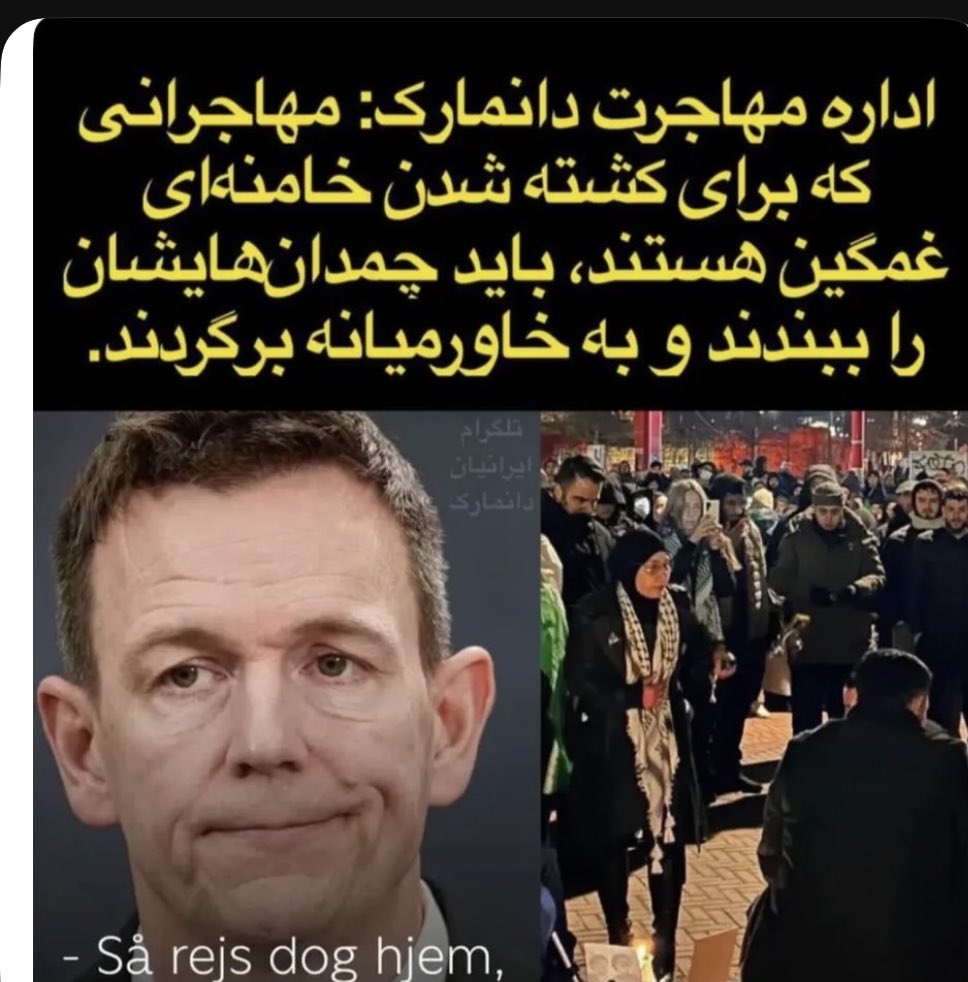 Elham Farshad tweet media