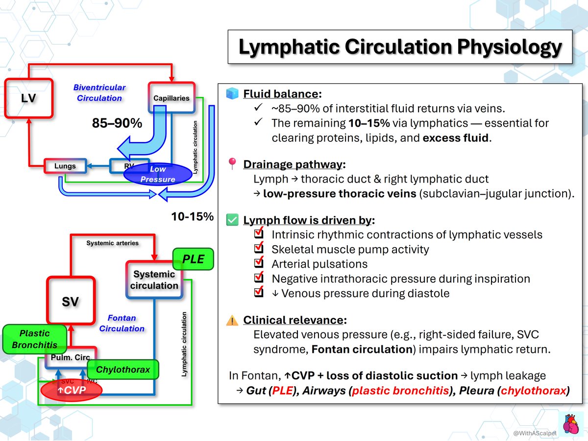 WithAScalpel's tweet photo. Fontan Circulation & Lymphatic Failure:

👉↑CVP + loss of diastolic “suction” → lymph can’t drain into the low-pressure veins
👉Lymph backs up / leaks → organ-specific complications:
  ➡ PLE (gut)
  ➡ Plastic bronchitis (airways)
  ➡ Chylothorax (pleura)