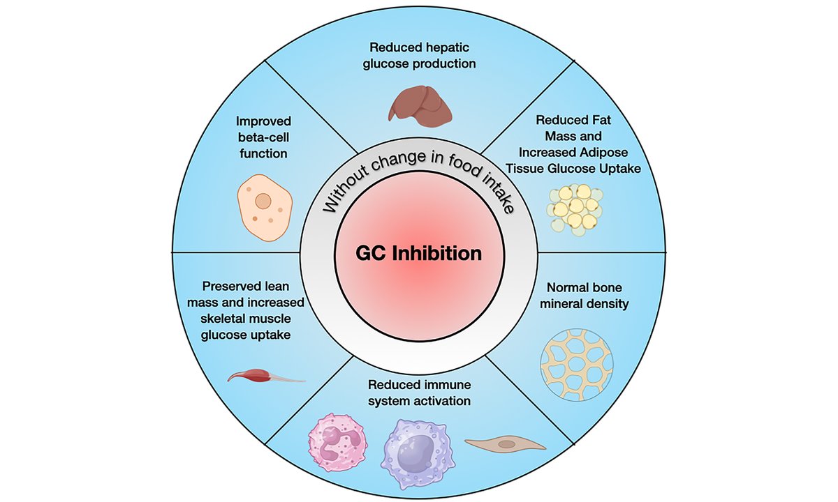 MetabolismAnd's tweet image. The study identifies novel immune mechanisms driving inflammation and fibrosis in NAFLD, highlighting potential therapeutic targets.
Understanding immune responses could improve treatment outcomes.

oaepublish.com/articles/mtod.…

#NAFLD #LiverDisease #ImmuneSystem #MetabolismResearch