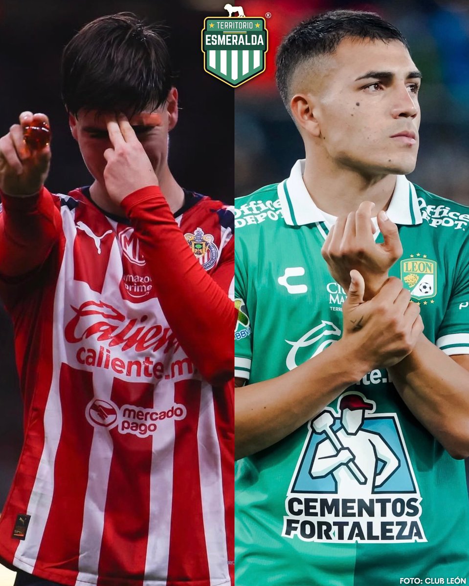 Territorio Esmeralda tweet media