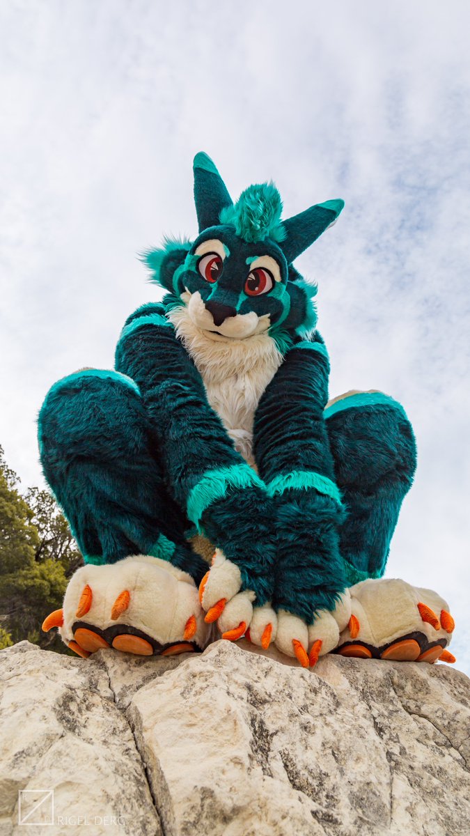 Athy / June Cabbit tweet media