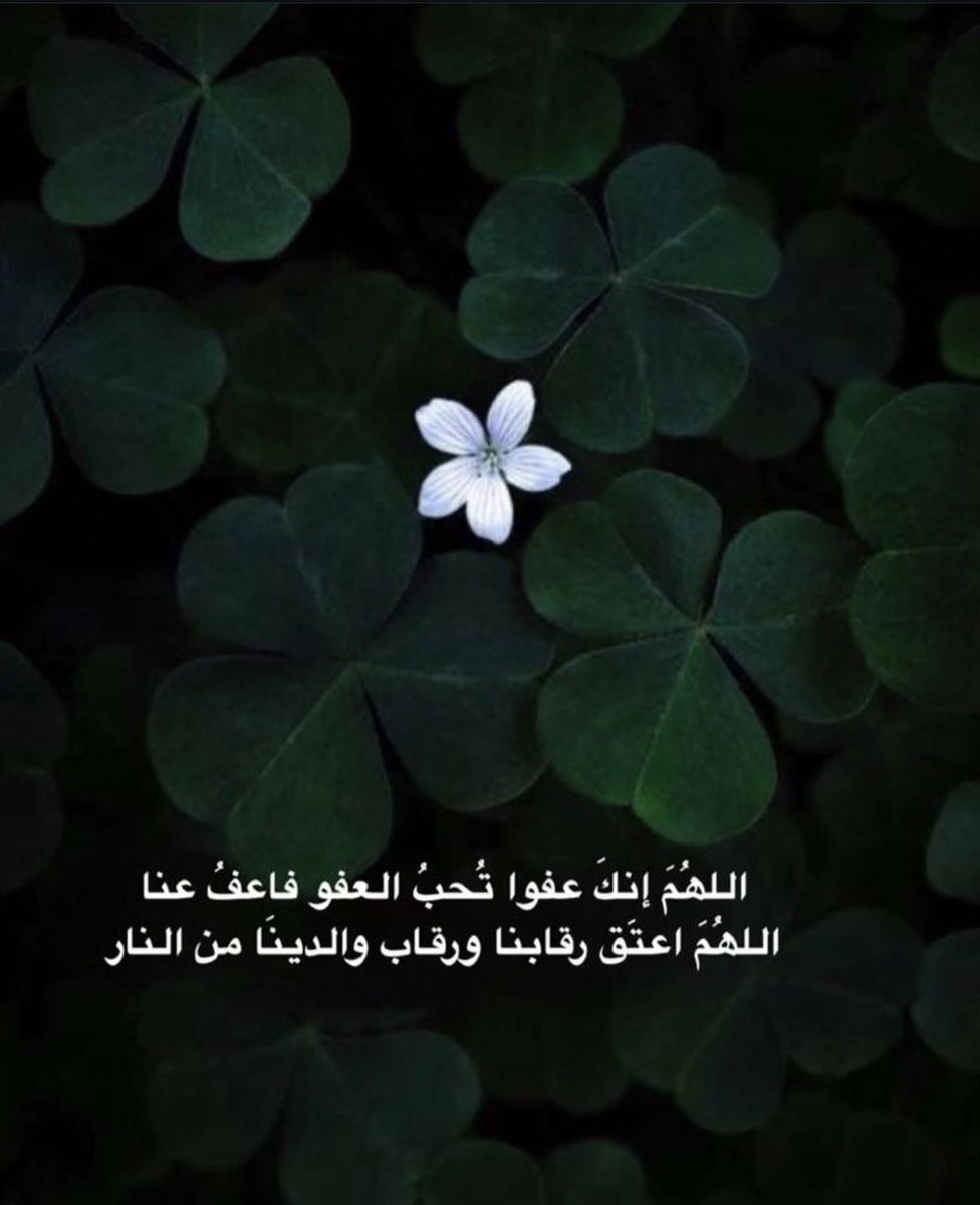 zasa282's tweet photo. #صباح الخير https://t.co/bwNjMsGU7j