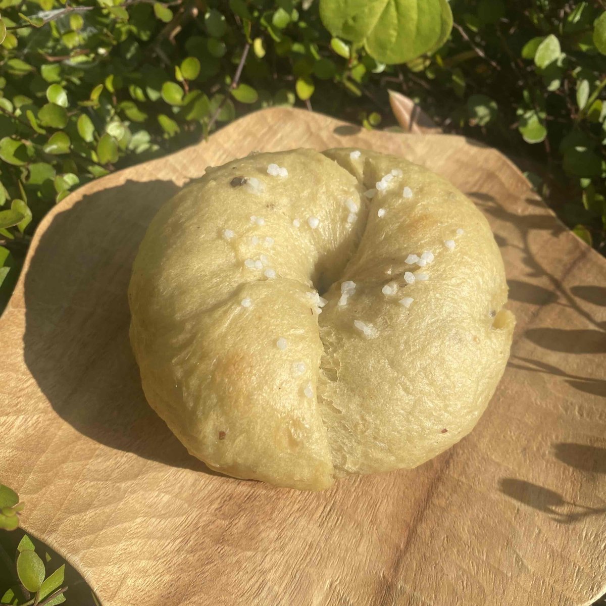 SolaseedAir_JP's tweet photo. 長崎県大村市のベーグル専門店「ベーグルまるこや」とコラボ🥯💚

『ソラシドマルシェ in 長崎空港』で、ソラシドエコファームのさつまいもを使ったやきいも塩バターベーグルを販売します🍠
甘じょっぱさがクセになる…🤤

📍2026年3月7日(土) 11:00〜 
📍長崎空港1F イベントスペース 
⚠️完売次第終了 https://t.co/F43kKtaFOM