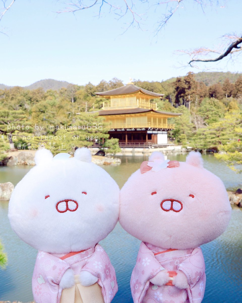 ✽ まきまる ✽ (@makimaru636) / Posts / X