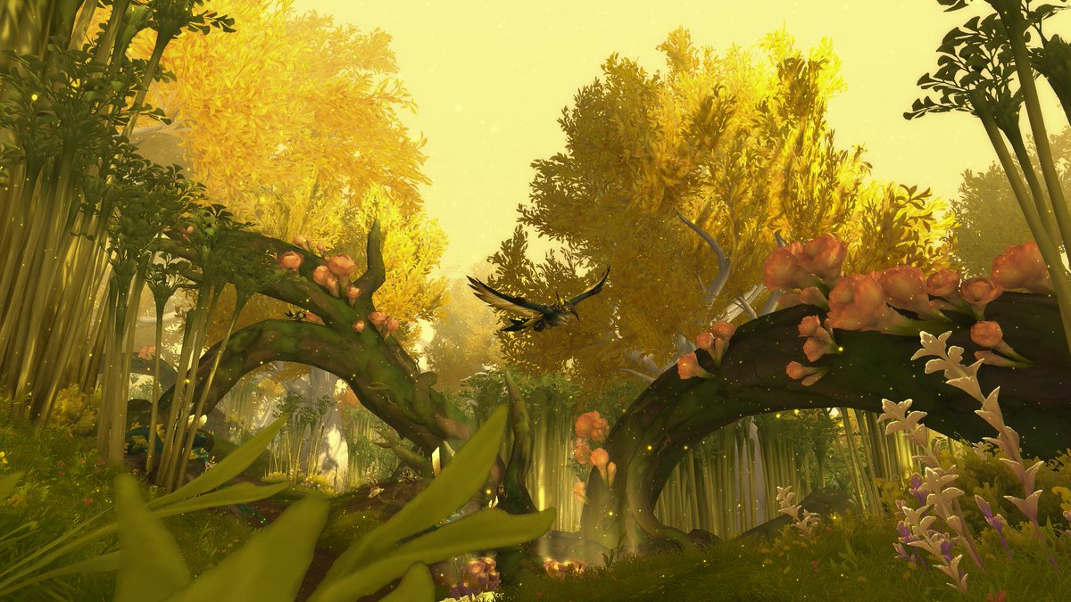 𝘄𝗶𝘇𝗮𝗿𝗱𝗿𝗶𝗲𝘀 ⋆。 tweet media