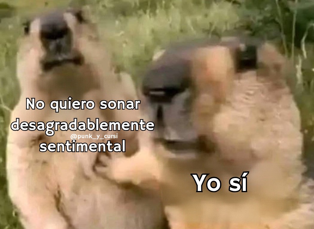 𝑷𝒖𝒏𝒌 𝒚 𝒄𝒖𝒓𝒔𝒊 tweet media