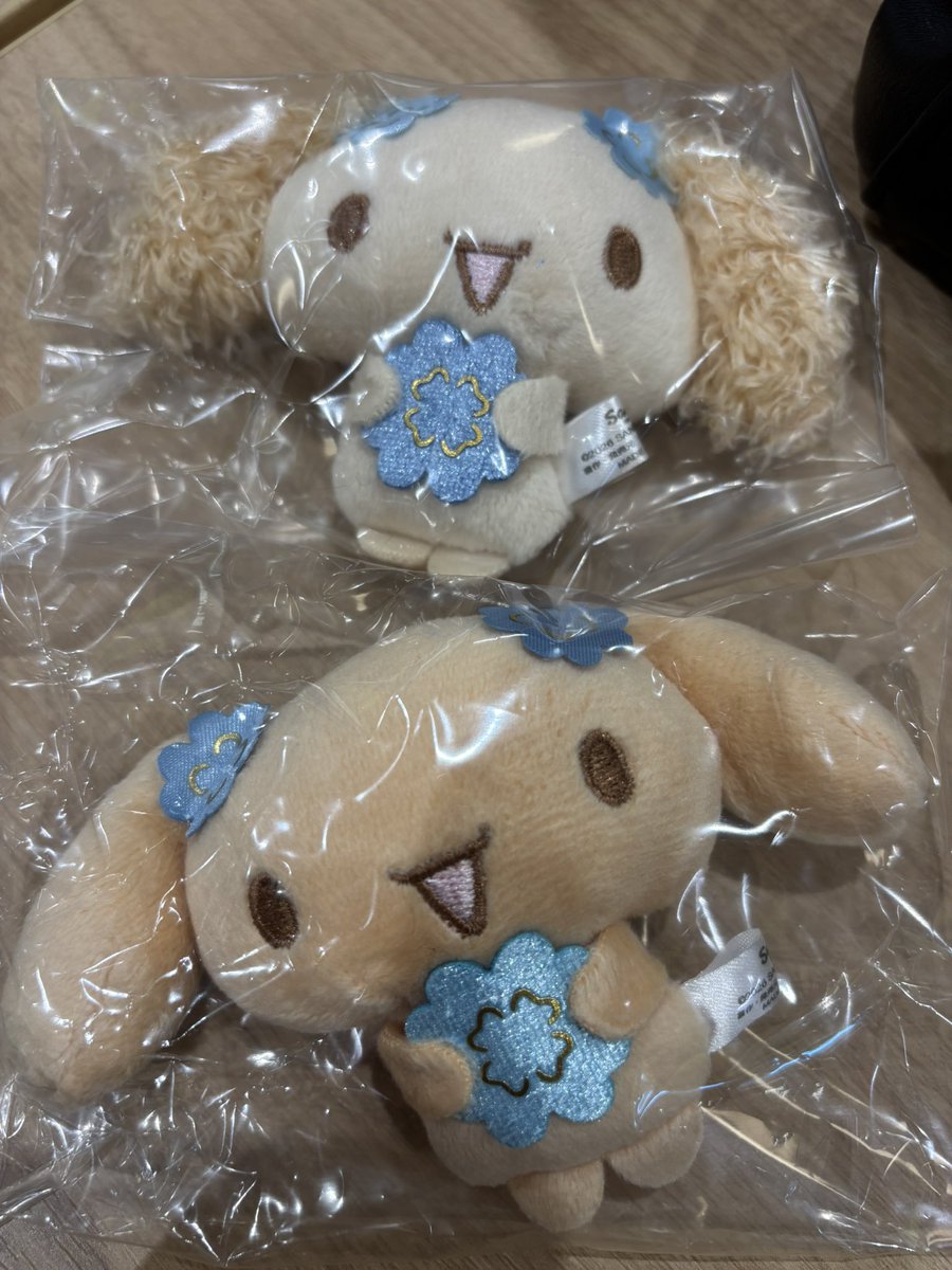 ぱんだ🐼 tweet media