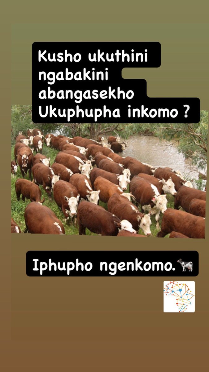 Lonke iphupho ovuka nalo uma kade ulele lisho okuthile ngempilo yakho. Lingasho osudlulile kukho noma osazobhekana nakho.
#wednesdaymotivation 
#DREAMWEEK 
#TrendingNow 

iafrika.org/amaphupho-ngen…