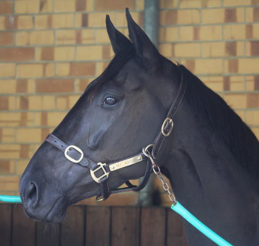 Kristen Manning tweet media