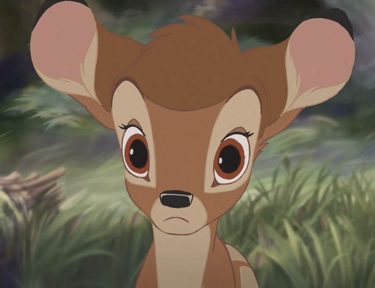 ju (@wiltedlavenderx) on Twitter photo 