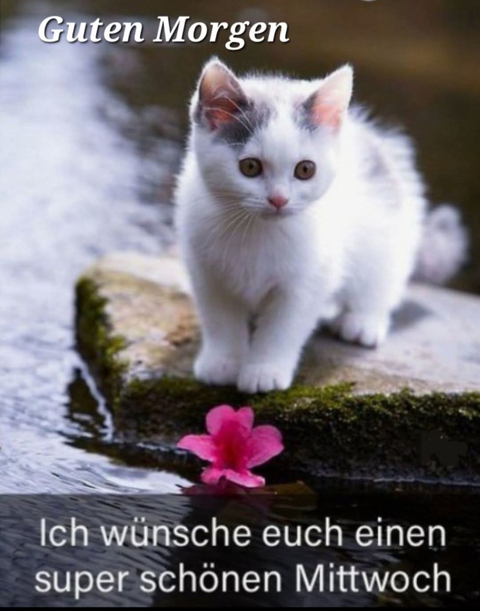 Jörg Nausedat (@jnausedat) on Twitter photo 