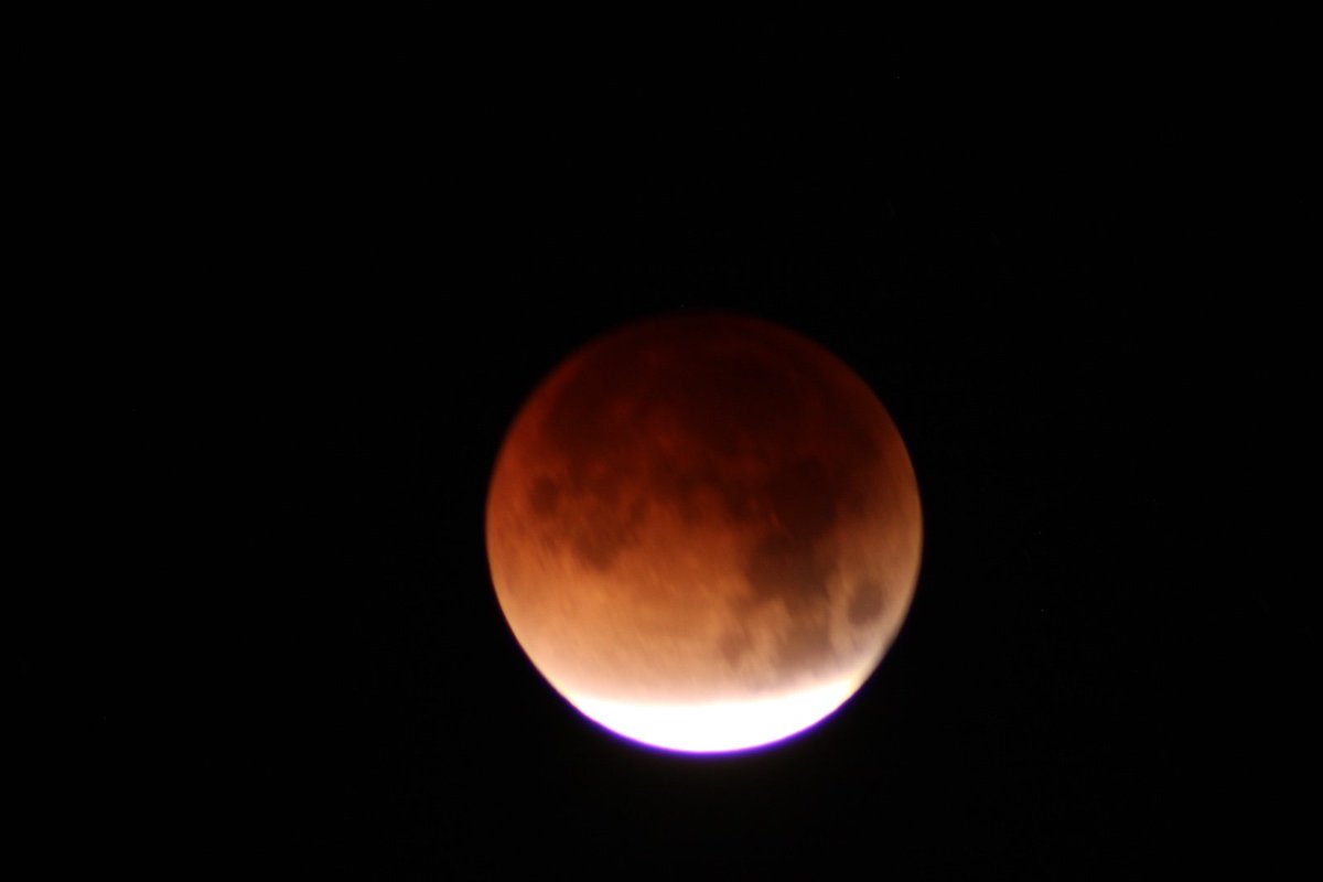 ConnaDerg's tweet photo. Y para finalizar el hilo, el momento en que comence a tomar unas fotografias, ya habia avanzado un poco. https://t.co/zyxLMZfS6r