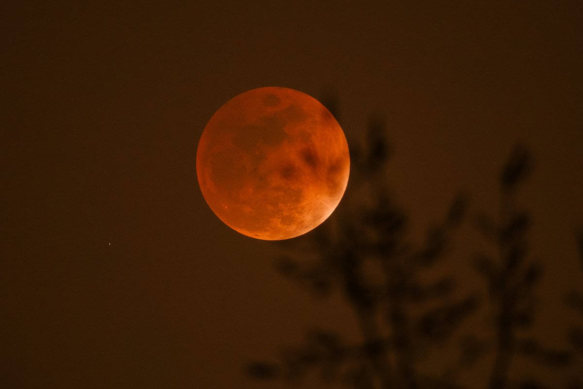 PuebloEnLnea's tweet photo. El martes se celebró el #FestivalDeLosFaroles, que tiene lugar el día 15 del primer mes del calendario lunar chino. Este año, el festival coincidió con un #eclipselunar total. https://t.co/G31luauuhH