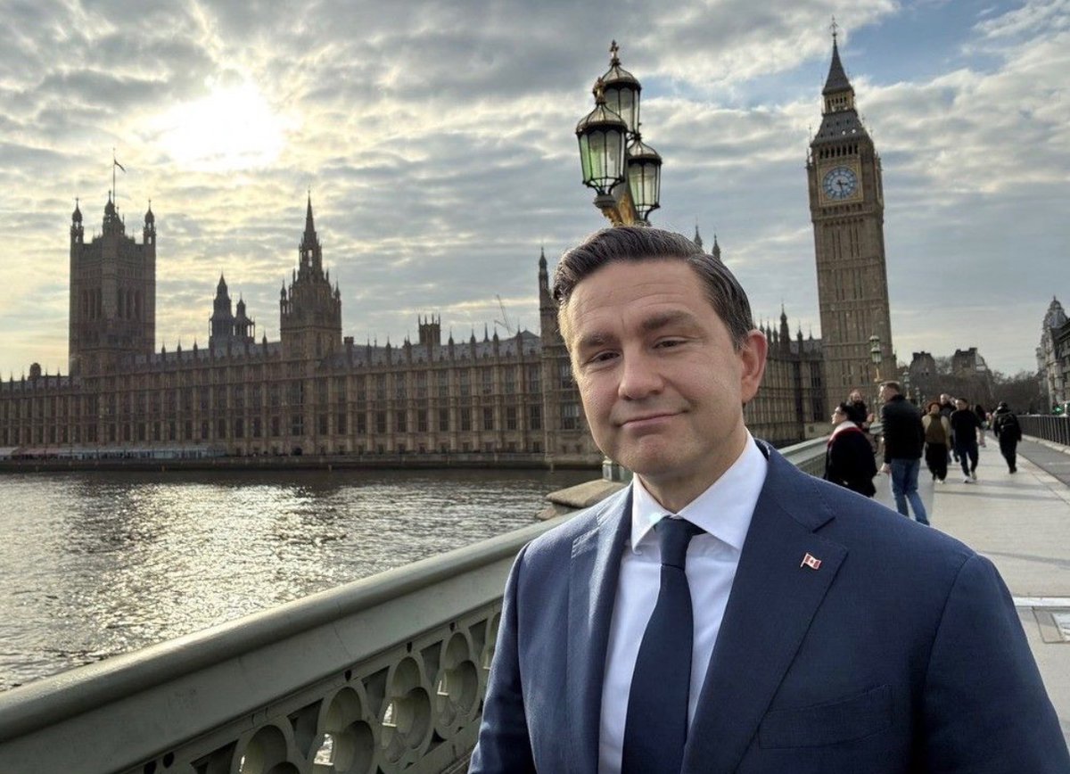 Dale Thompson / Дейл Томпсон 🇺🇦 tweet media