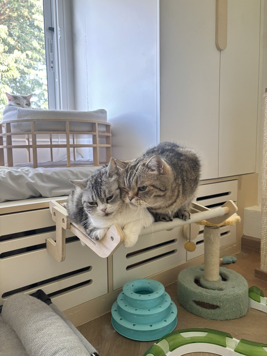 อ้อนแม่ เฉือๆก็ตัวแค่นี้🤏🏻💖