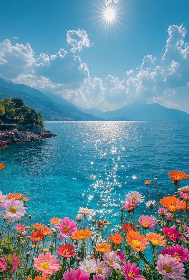 In all you do. Do Everything with a Good Heart and Expect nothing in return

Good morning my beautiful people 😍