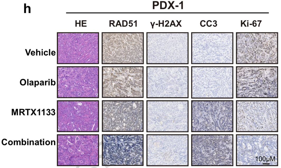 Anirban Maitra tweet media