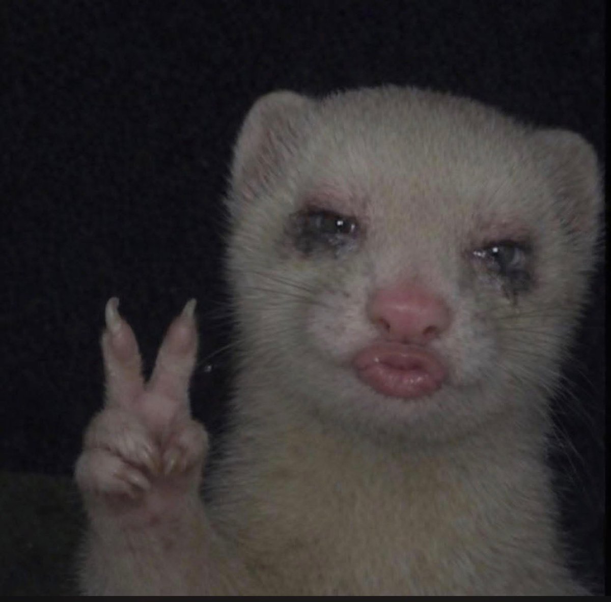 Danny Flores tweet media