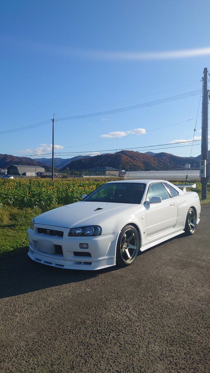 どんくん tweet media