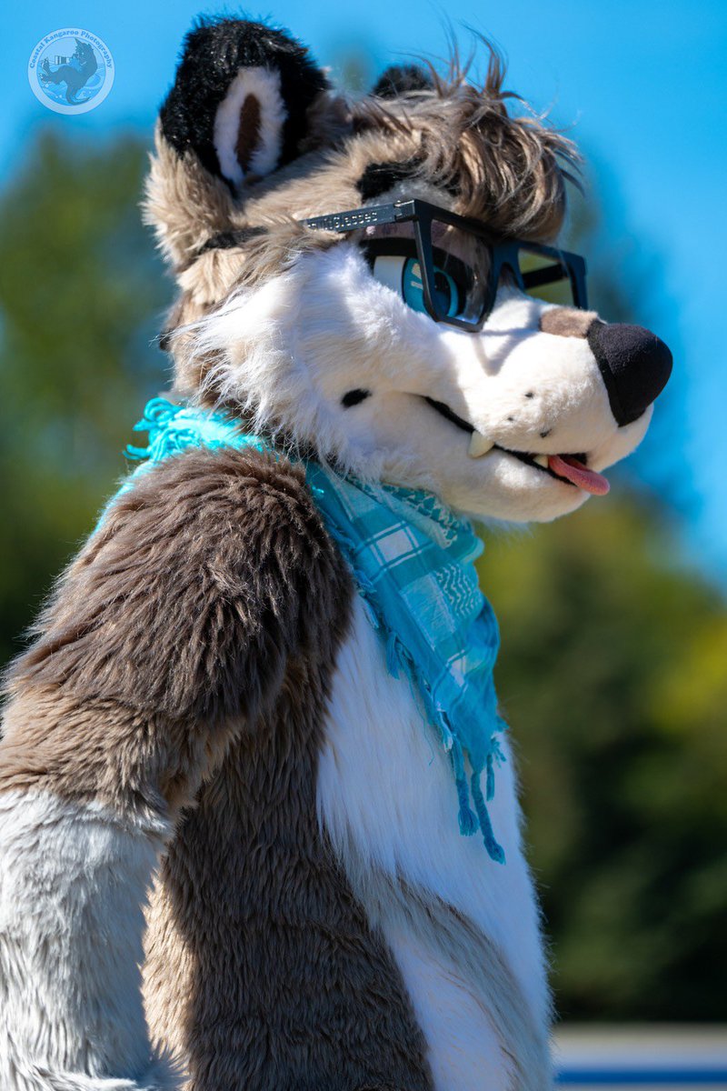 ColeWuff 🐺 🔜 FC26 tweet media