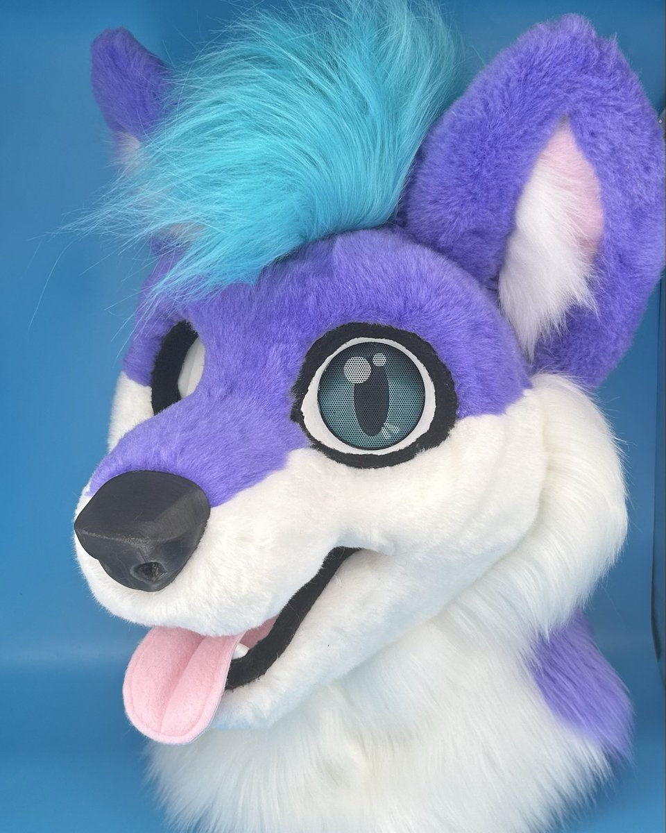 CraftyK9@HOME tweet media