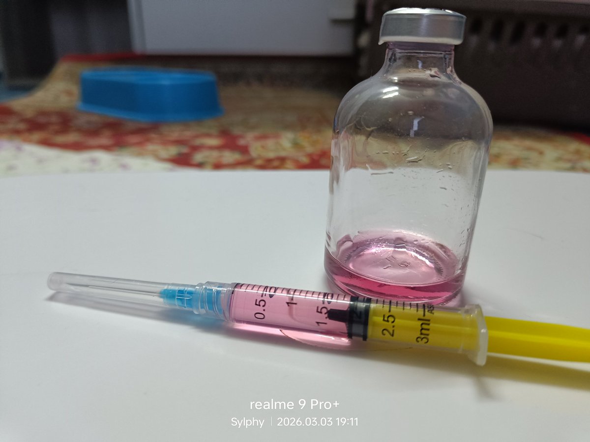 Sylphy_Shifaa tweet media