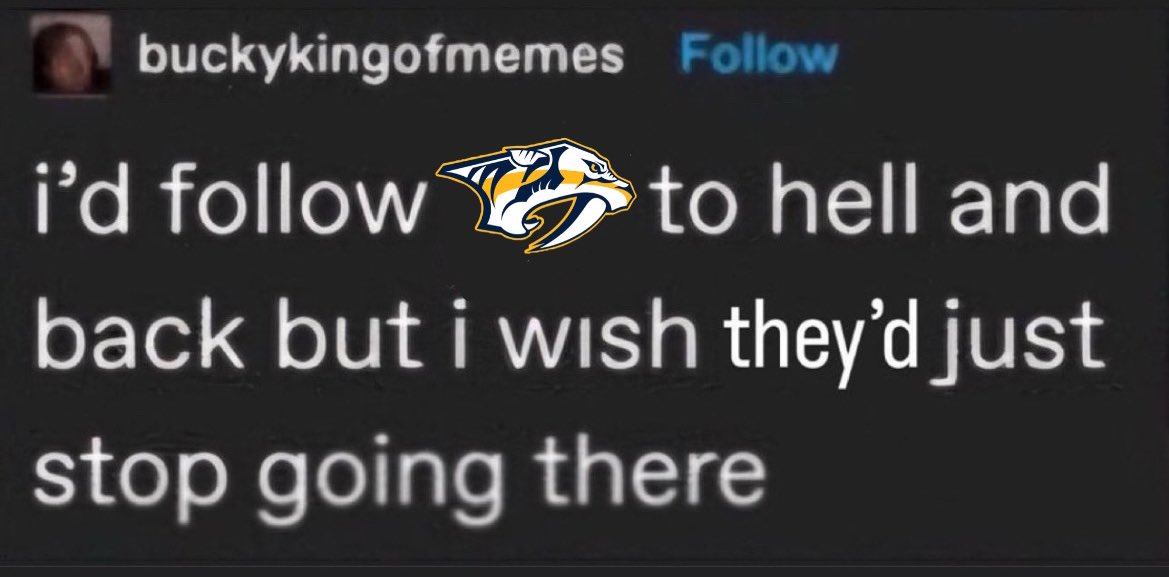 Stupid Seal 🦭 (@stupid_seal_) on Twitter photo 