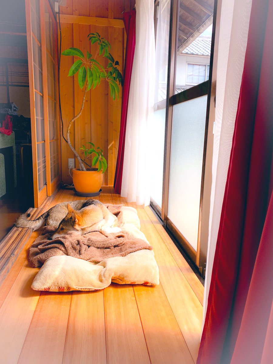 これを楽しみに今週乗り切る！