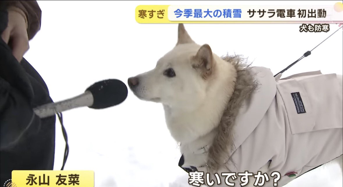 咲来さん tweet media