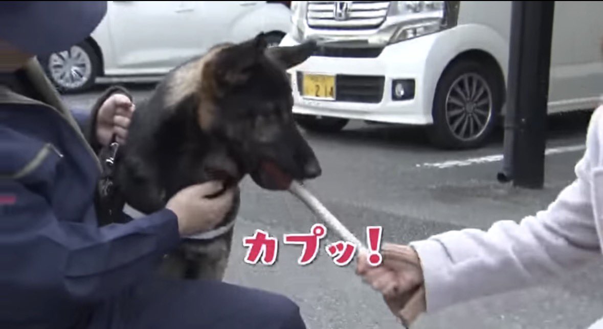 咲来さん tweet media