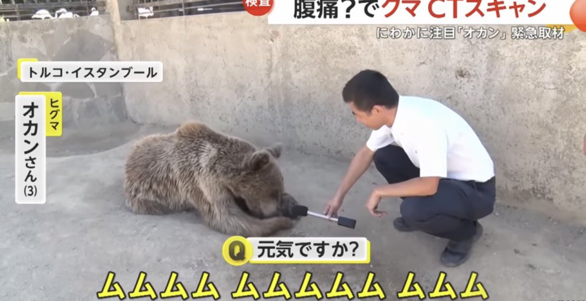 咲来さん tweet media