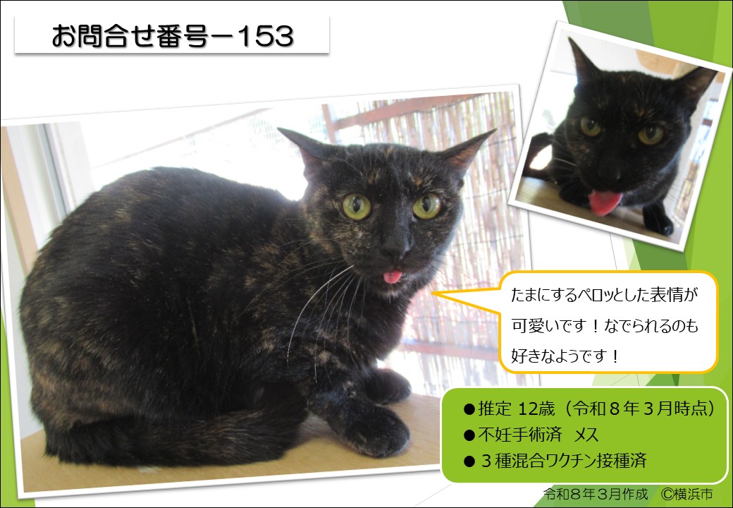 横浜市動物愛護センター tweet media