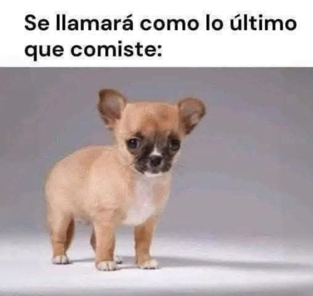 SolidKroket tweet media