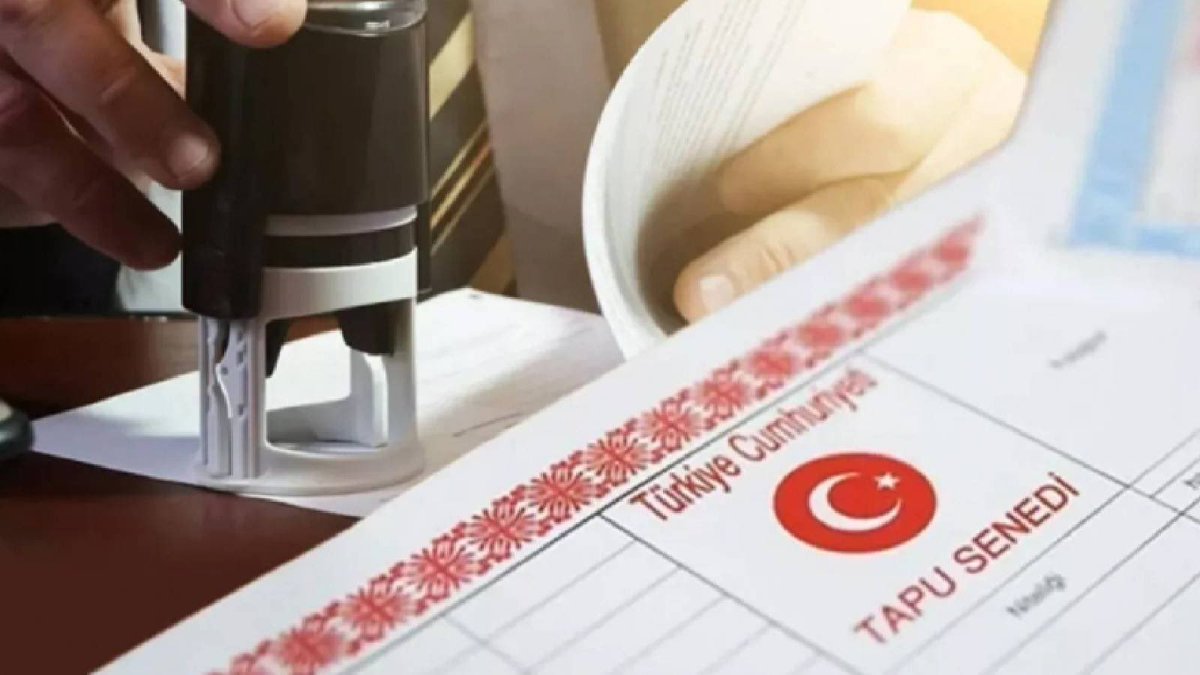 İnşaat Doktoru tweet media