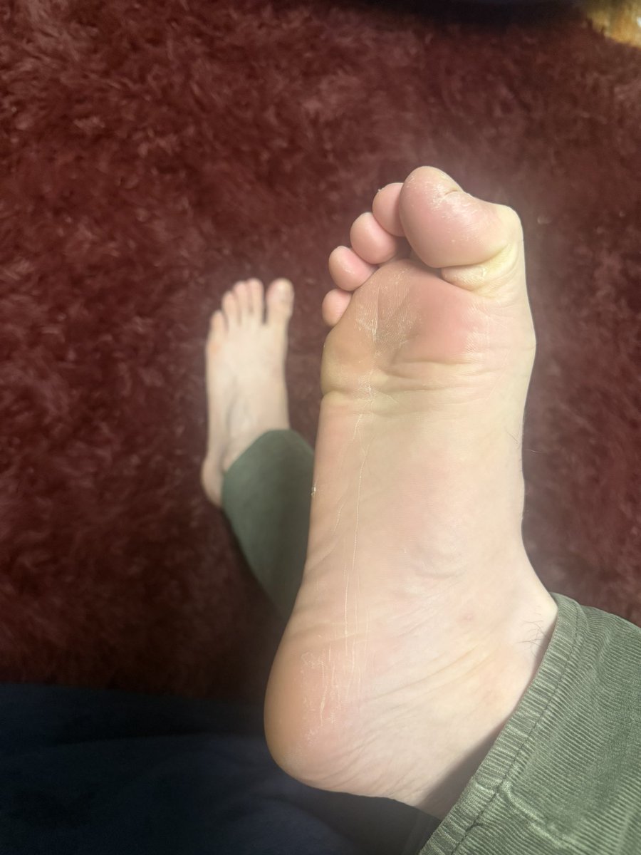 Master_Alex tweet media