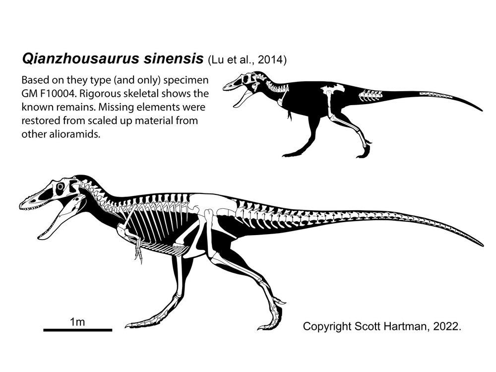 Probably Glaive tweet media