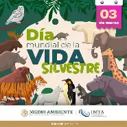 Celebrar la vida silvestre también es reconocer que el desarrollo y la conservación deben ir de la mano. Crecer sí, pero creciendo con responsabilidad. Con una empresa como <a href="/Cobre_Panama/">Cobre Panamá</a> lo podemos lograr🧠👏