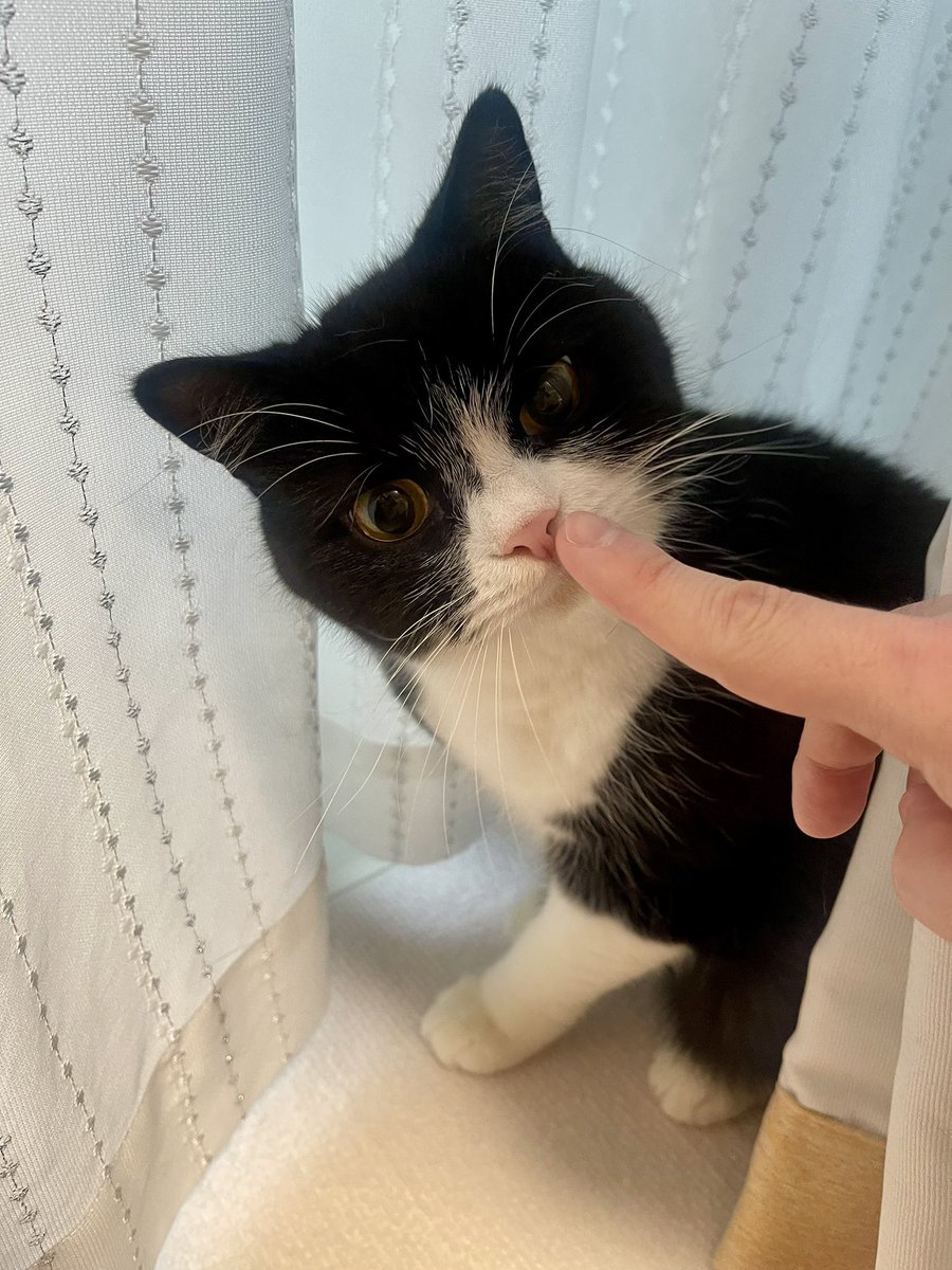 たろう (@taro20216) / Posts / X