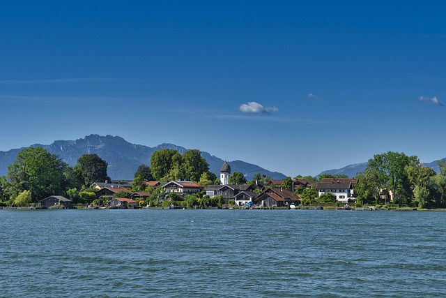 Esther Boothe tweet media