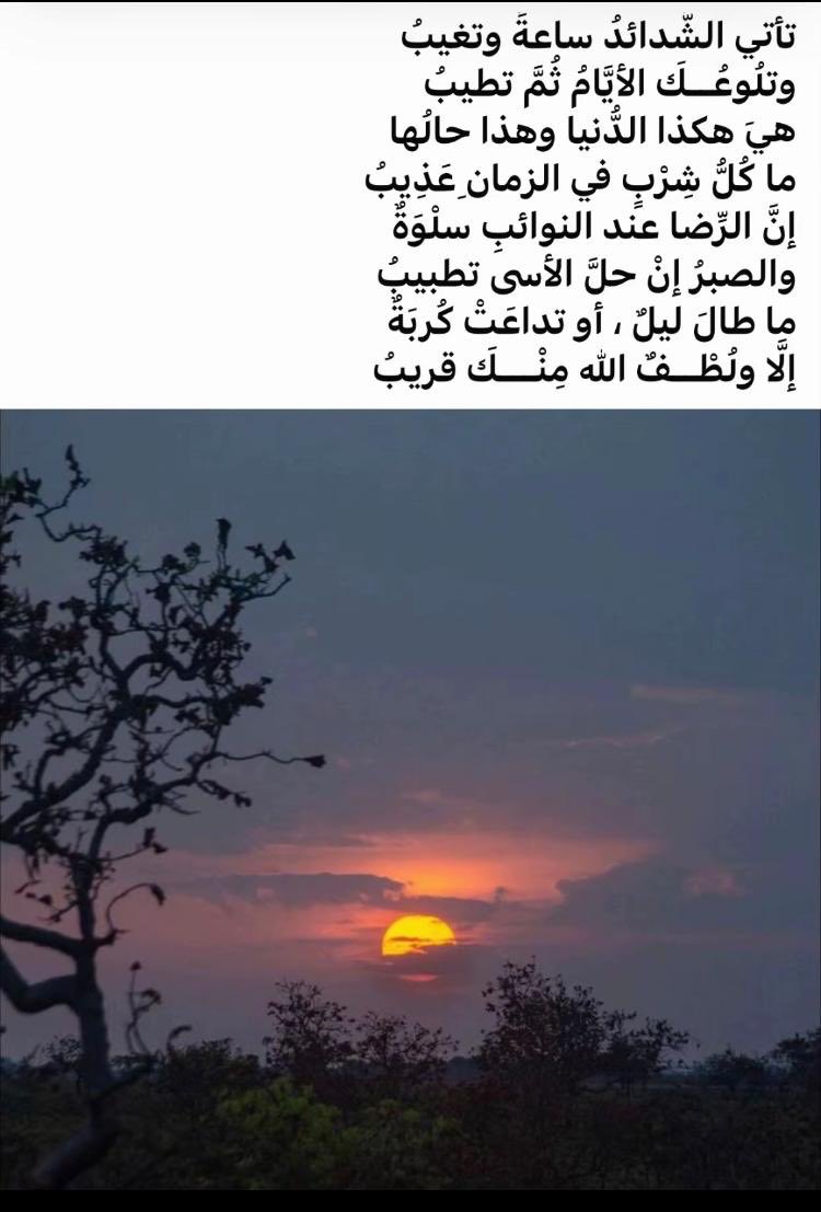 ALajami1969's tweet photo. صبحكم الله بكل خير 🌺🌺🌺🌺🌺 https://t.co/Qt5aBwuMRd
