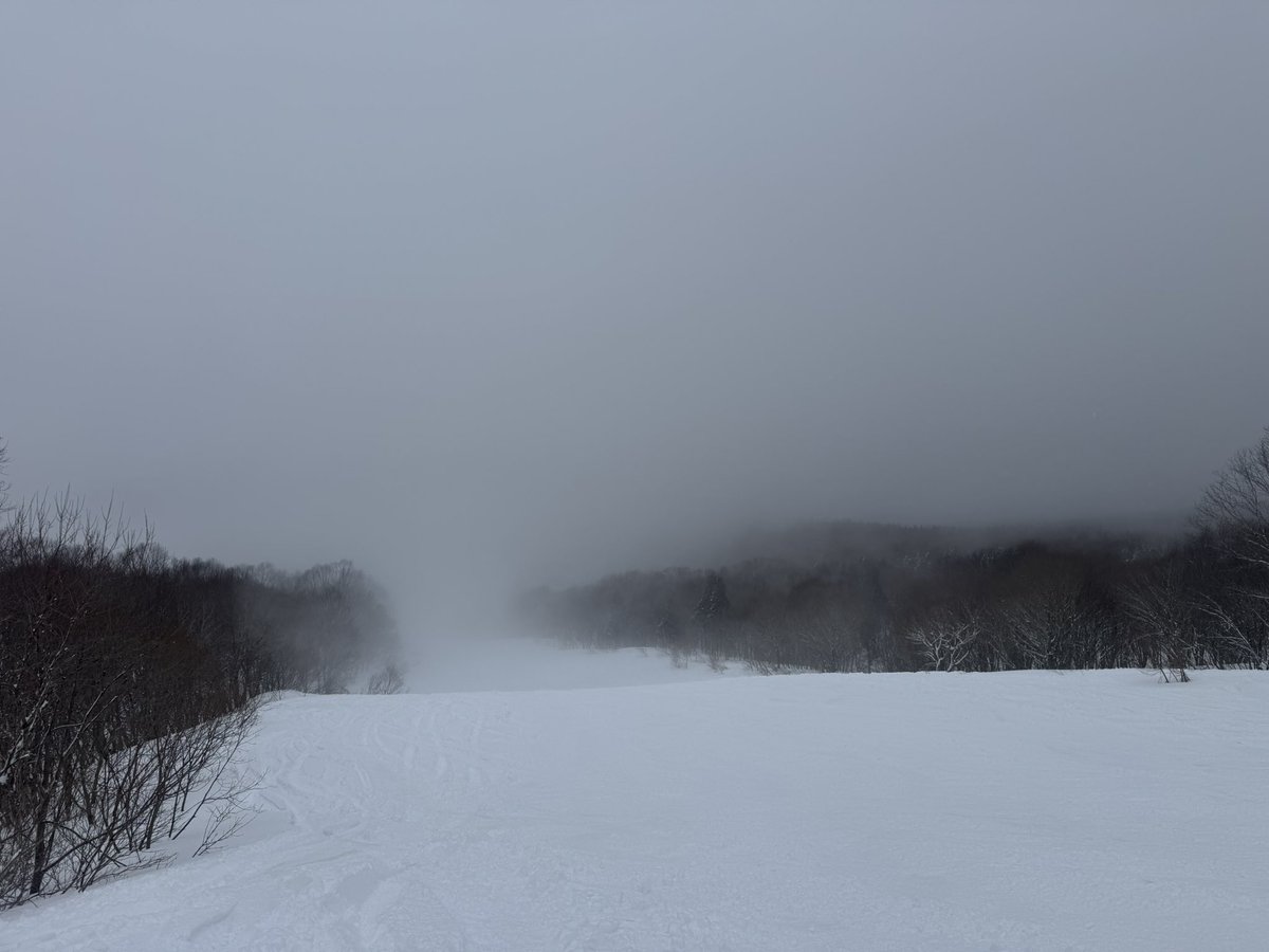 rk5nemo's tweet photo. ジャングルジャングル昨日の雪で結構いい雪質、上の方は雲の中🏂
一本目で太ももパンパン、運動不足だ笑 https://t.co/vrWj3Ut9xl