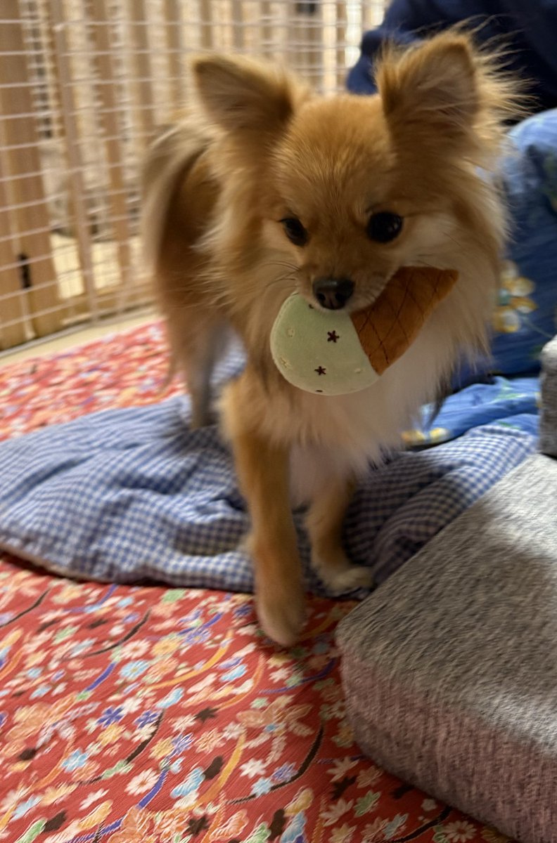 アイスうまっ！
#ななざます