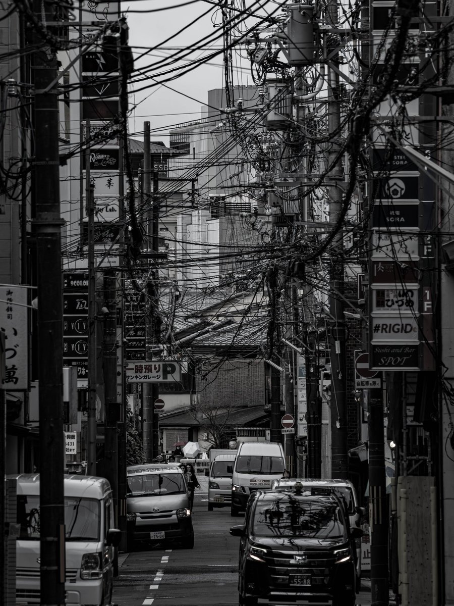 京都の写真見て何しに行ったんだってなってる🐴