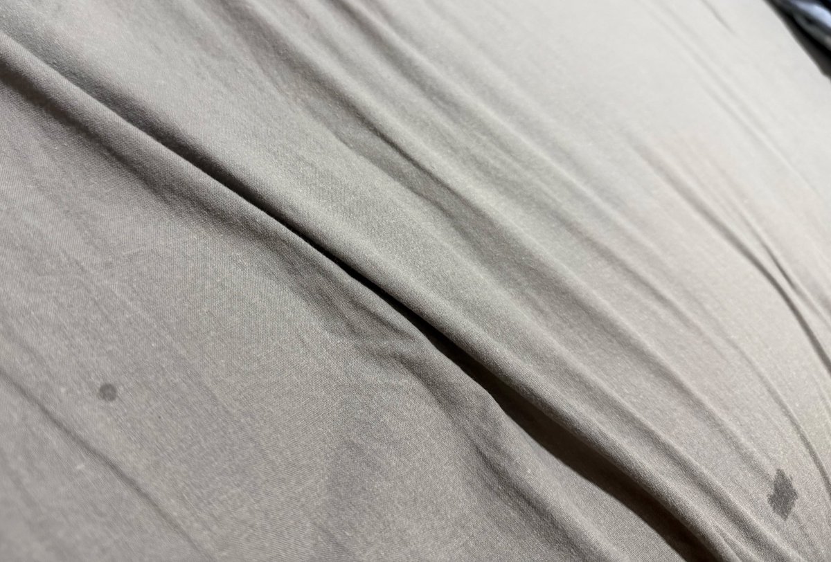 🌰🐢Gurily tweet media