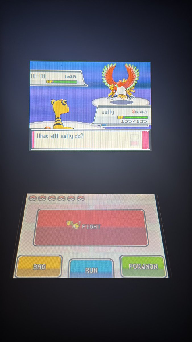 sai 🏳️‍⚧️ tweet media