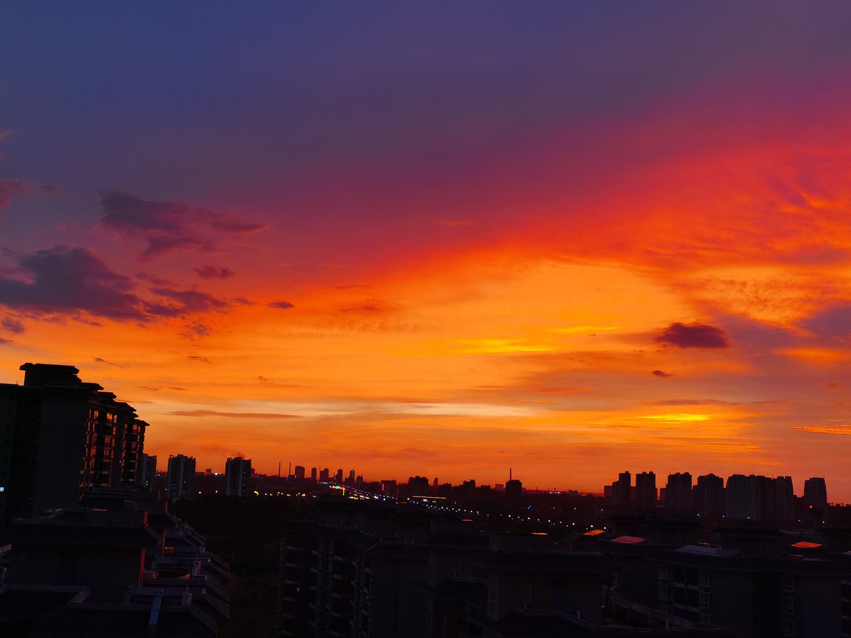 0xTodd ( thinking ) tweet media